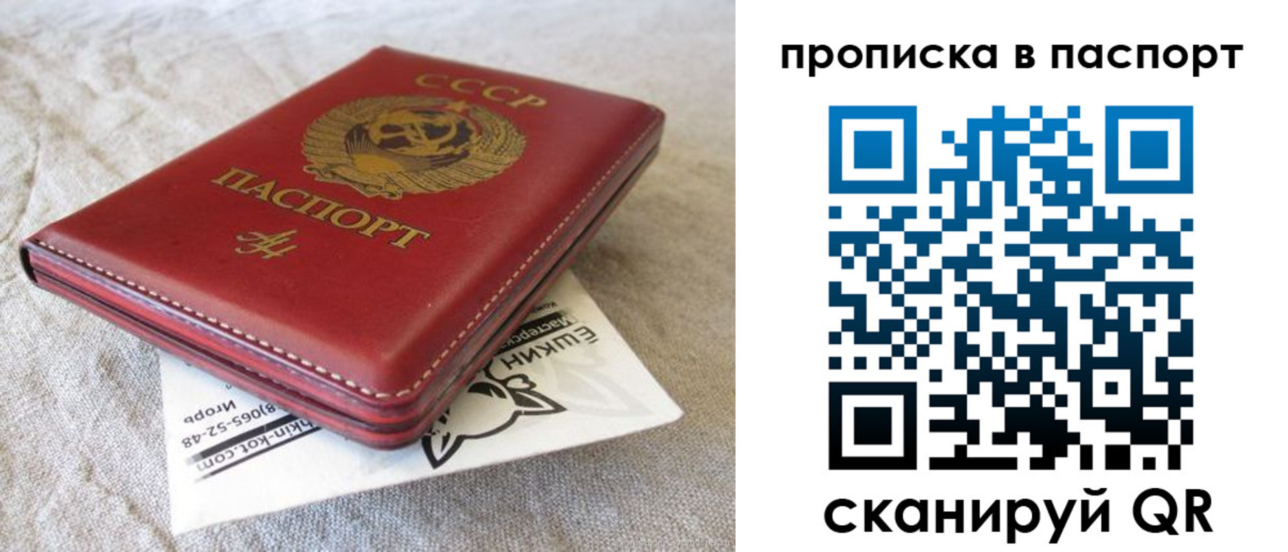 прописка штамп в Ивантеевке